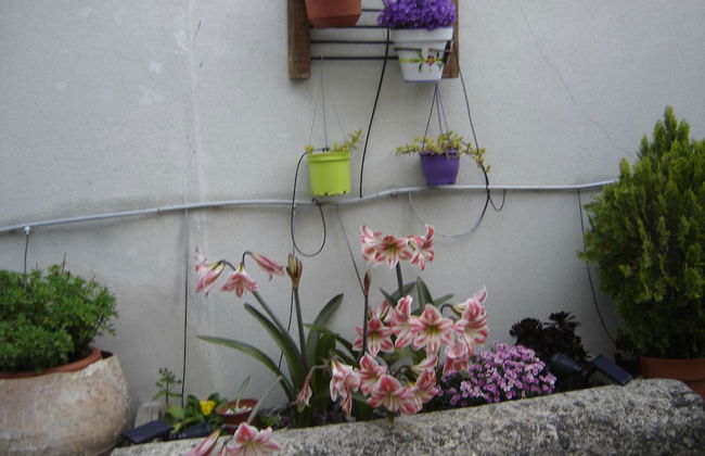 Casa rural La Bardena Blanca I - Foto 41