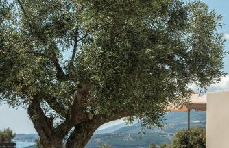 Marea Luxury Suites - Photo 13