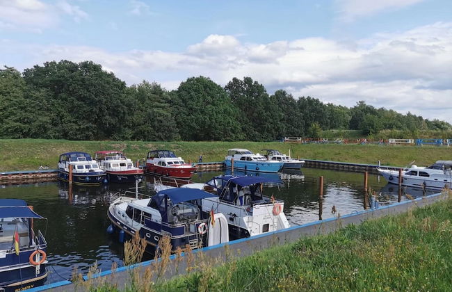 Reihenhaus mit Wlan in Buchholz am Muritzsee - Foto 48