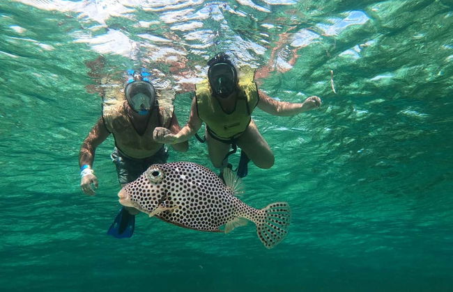 Mustang Tour in Cozumel - Photo 6