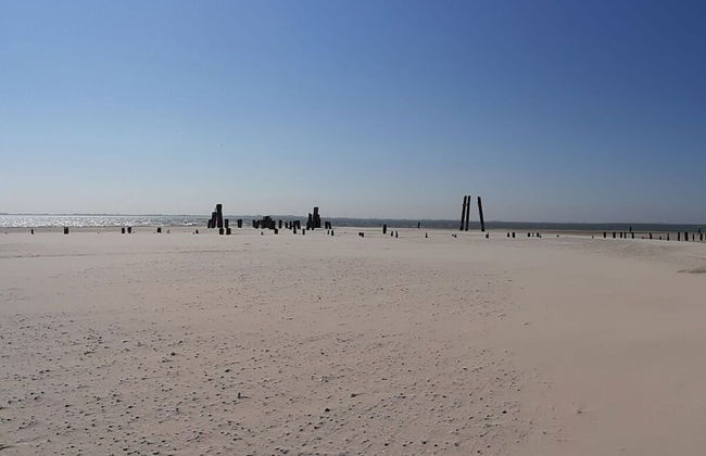 Holiday Apartment Villa in the Park - Foto 14