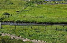 Oldshoremore Croft Cabins - Foto 33