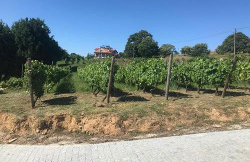 Quinta Casa do Retiro - Foto 23