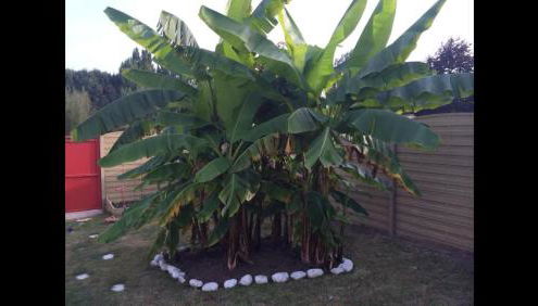 home sweet home - Foto 4