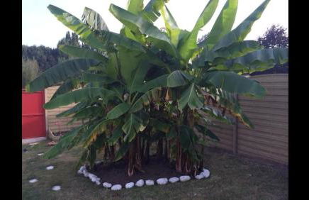 home sweet home - Foto 4