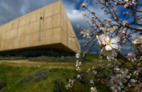 Casa da Barca - Foto 25