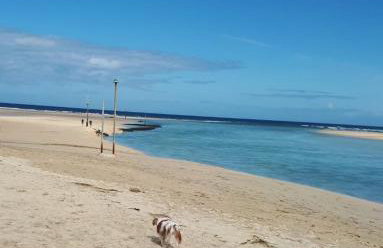 The garden apartment - Foto 16