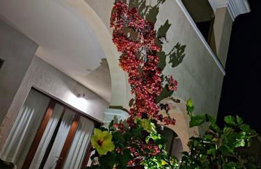 Domu Cannuja - Foto 46