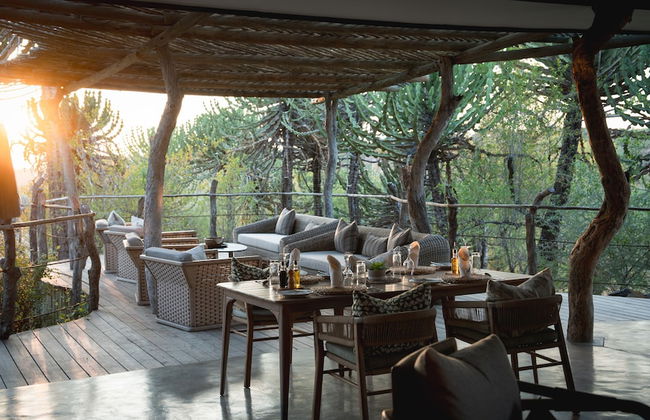 Euphorbia Mashatu - Foto 28