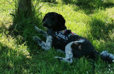 Hof Albersmeier Hüttinghausen / Urlaub am Stall - Foto 42