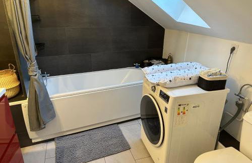 Le cocon de Marckolsheim proche Europapark - Foto 49