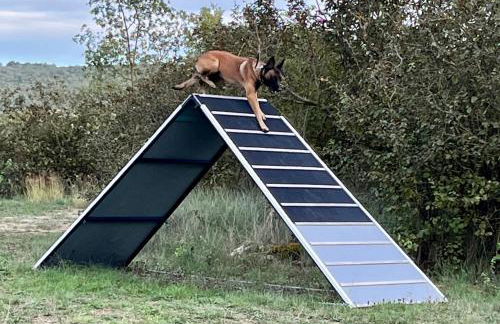 La Teulera - Foto 29