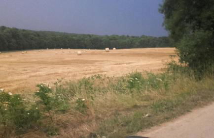 La Vache Tennis Privé - Foto 45