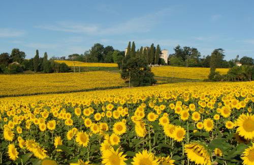Les Chalets de Grazimis - Photo 36