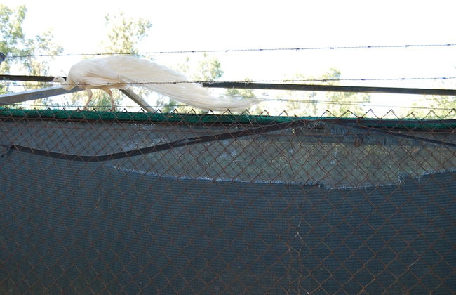 Vivienda Rural el Retorno - Foto 40