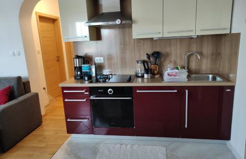 Apartman Roža - Photo 12