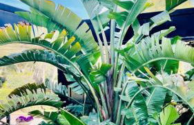 SUPERBE APPARTEMENT VUE MER - PLAGE, PISCINE et TENNIS PRIVE - Foto 8