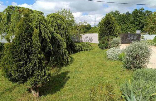 Green Oasis Near Barban - A House with a Pool, pet frendly - Foto 7