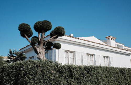 Prinsotel La Caleta - Foto 17