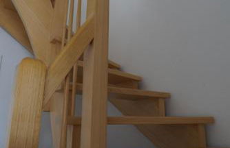 Zaunkönigin - Foto 34