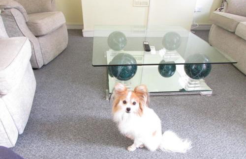 Perfect house for professionals - Foto 1