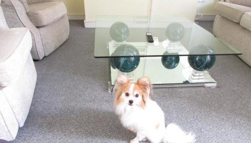 Perfect house for professionals - Foto 1