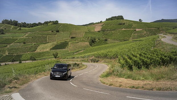 Tour en grupo pequeño por Alsacia desde Estrasburgo - Foto 3