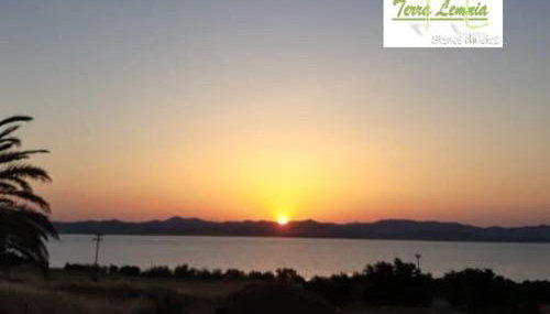 TERRA LEMNIA - Foto 4