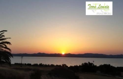 TERRA LEMNIA - Foto 4