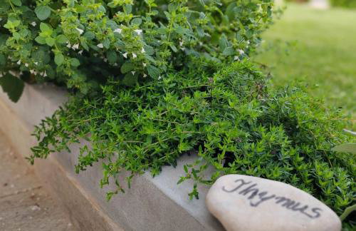 Villa Mila Rovinj - Photo 49