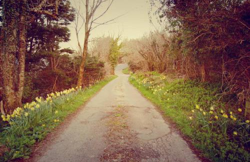 Fonn Na Mara - Foto 9