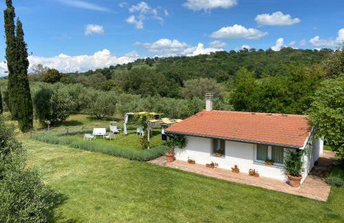 Tenuta Le Mandorlaie, Agriturismo in Scansano - Foto 25