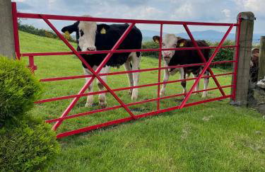 Mc Courts Cottage - Foto 26