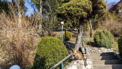 Ferienwohnung Steinachblick - Photo 3