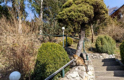 Ferienwohnung Steinachblick - Photo 3