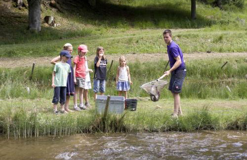 Gut Grasleiten - Foto 31