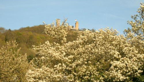 Ferienwohnung Schlossblick - Foto 2