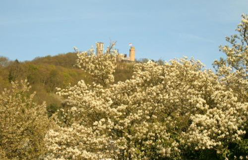 Ferienwohnung Schlossblick - Foto 2