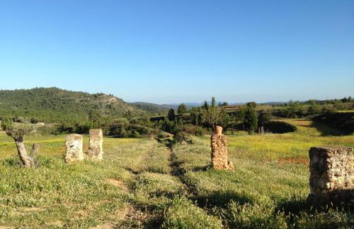 Mas de Leon - Foto 131