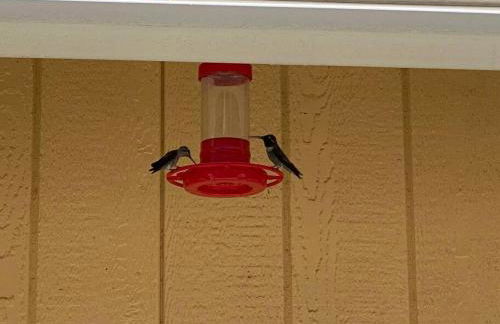 Waxberry Getaway Sequoia/Kings Canyon National Pks - Foto 74