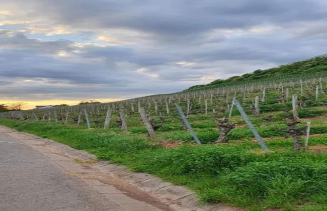 Wohnung mit Terrasse in Zeil am Main - Foto 37