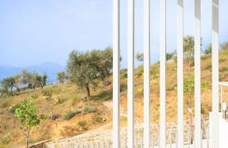 Physis Fokida - Foto 25