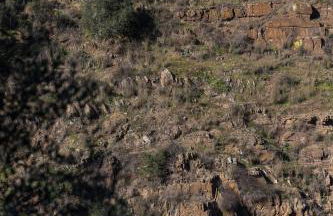 Casa de las Letrinas Baja, 2 Habt 5 más 1 Pers max chimenea con horno - Foto 47