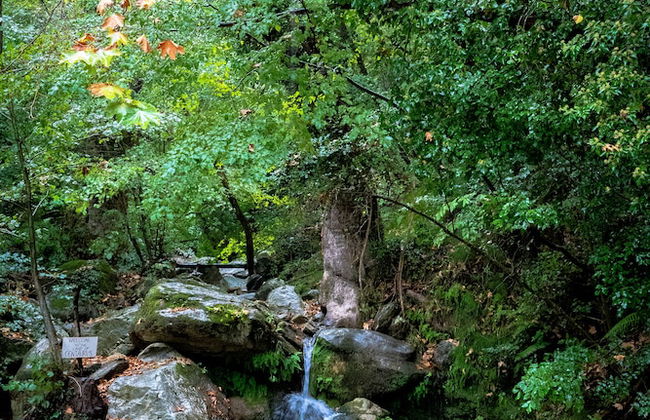 Gems of Pinakates - Foto 38