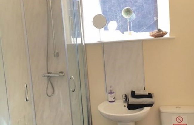 Ty Penacoed - Foto 12