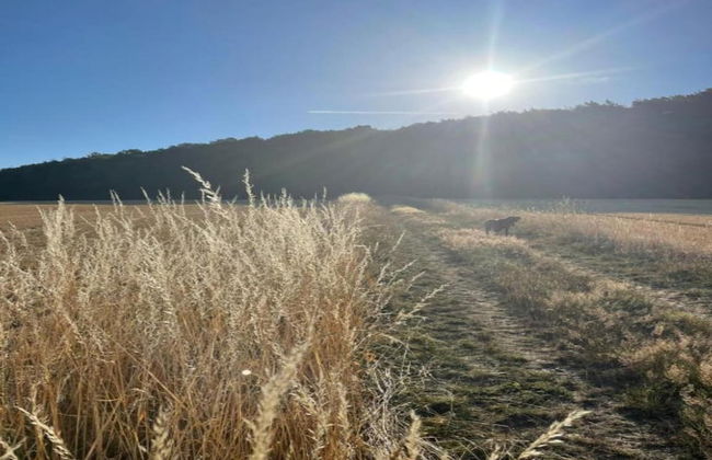 Bungalow im Feriendorf Uslar mit Gartenterrasse - Foto 36