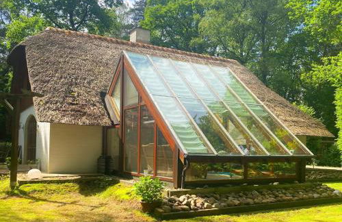 Ferienhaus Boschhuys - Foto 31