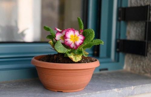 Konstantis - Foto 39