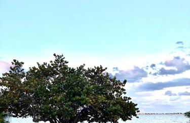 Sunny - Pool - Close to Beach - Fishing - Boat Ramp - Photo 21