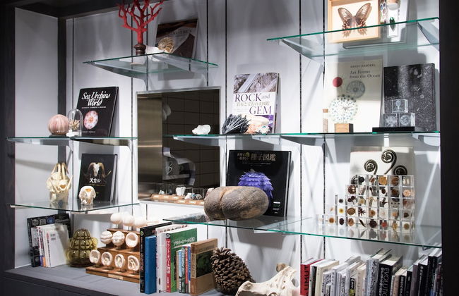 Usagi No Nedoko - Foto 21